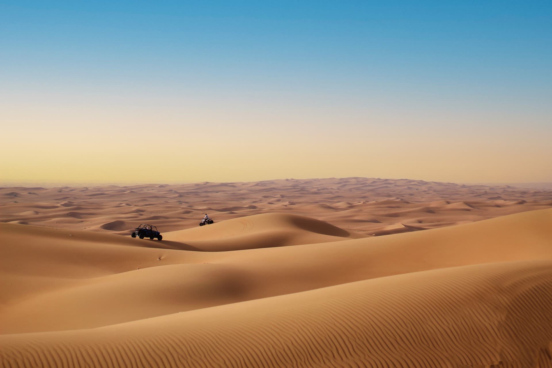 Real-time desert safari operations and booking logistics